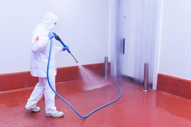 Best Building Exterior Washing  in New Deal, TX